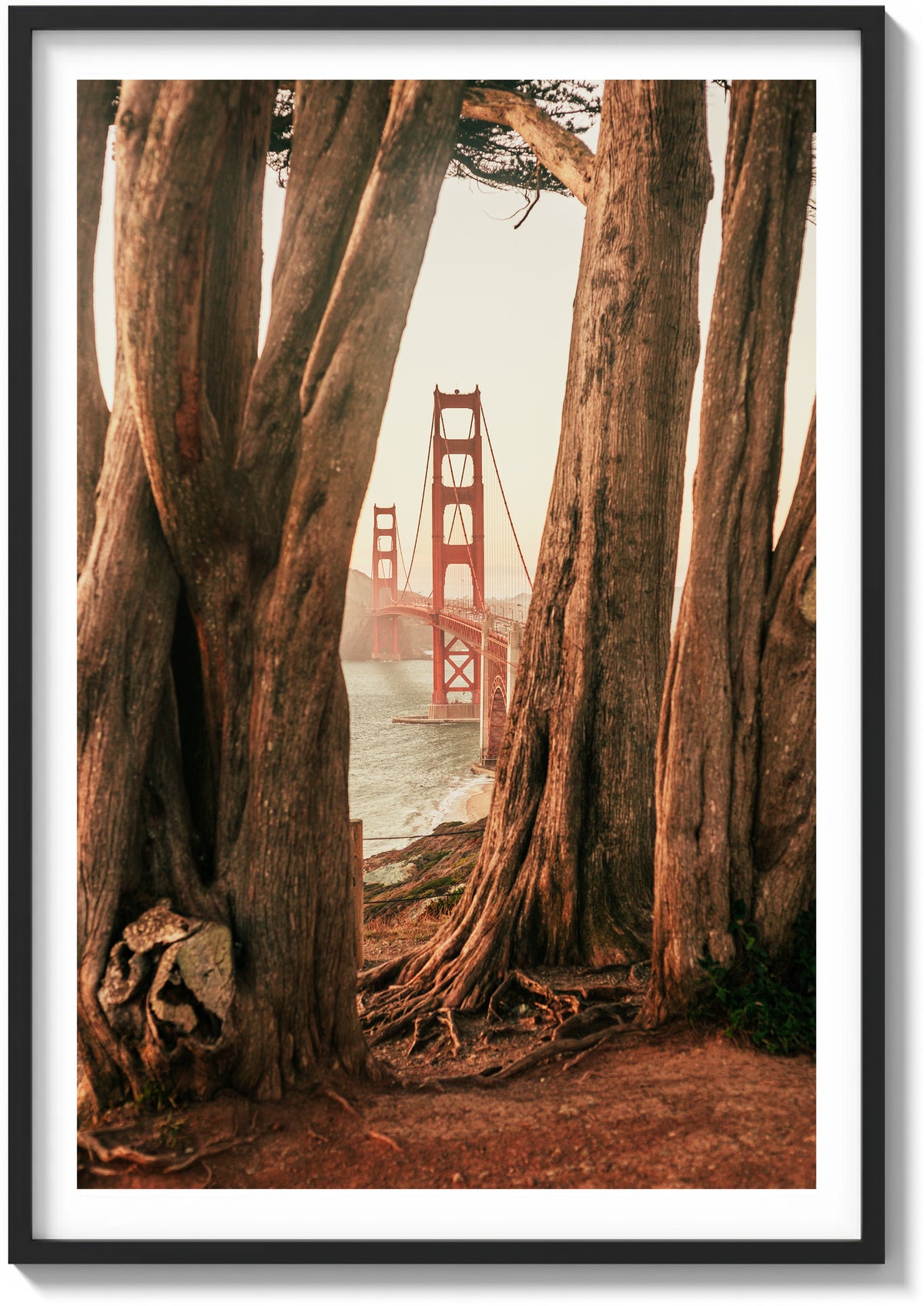 Cypress and Steel