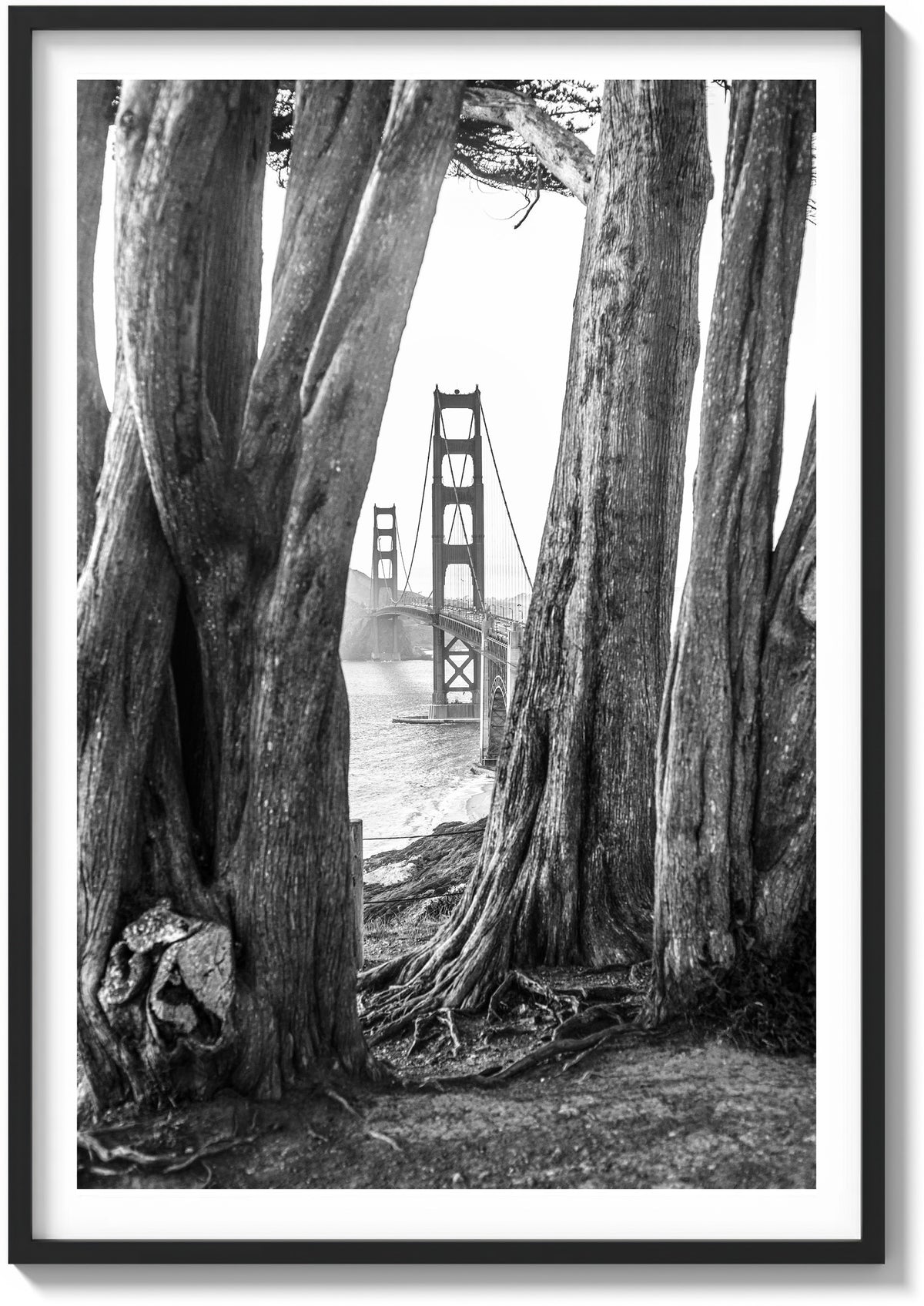Cypress and Steel