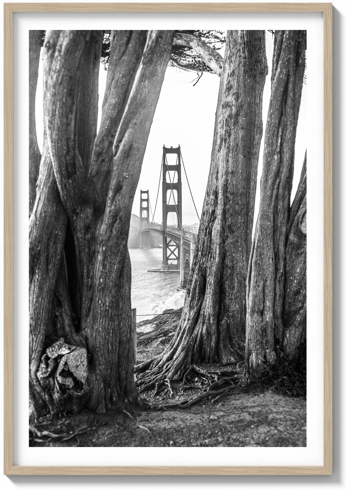 Cypress and Steel