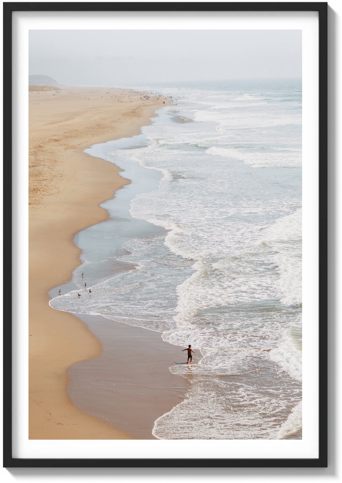 Ocean Beach Exploration