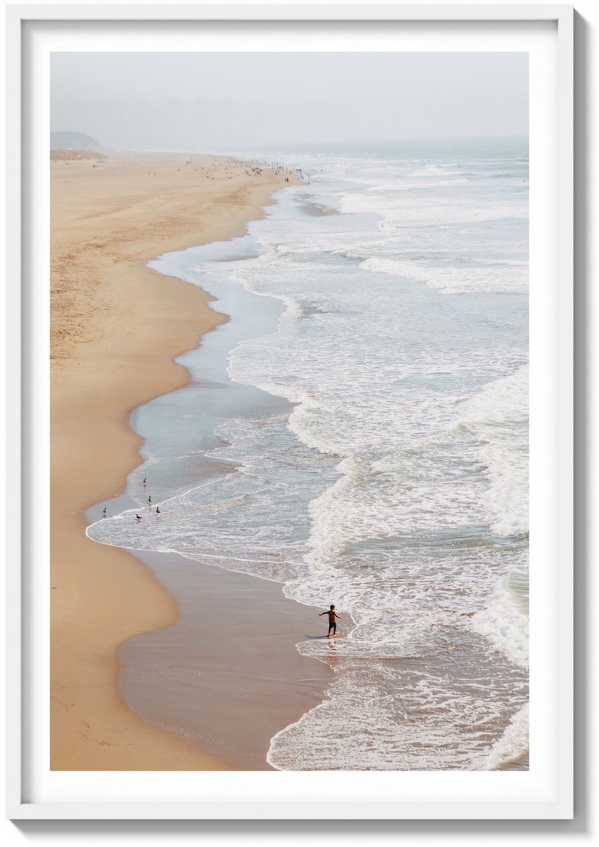 Ocean Beach Exploration