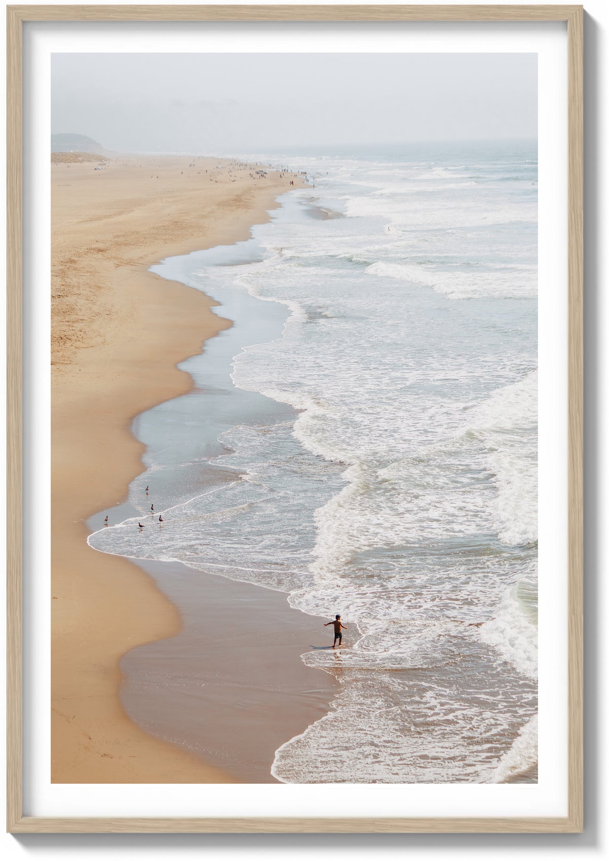 Ocean Beach Exploration