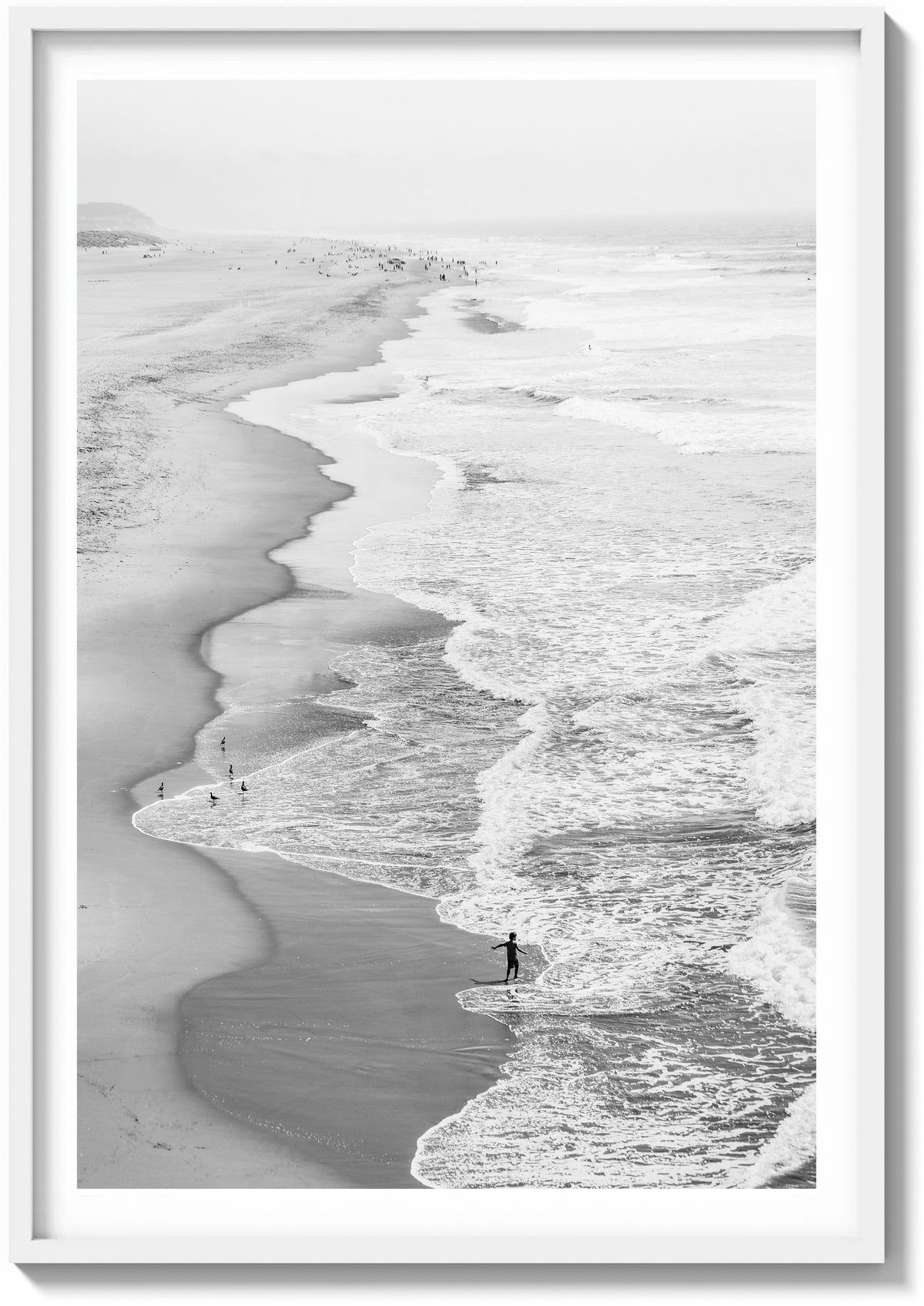 Ocean Beach Exploration