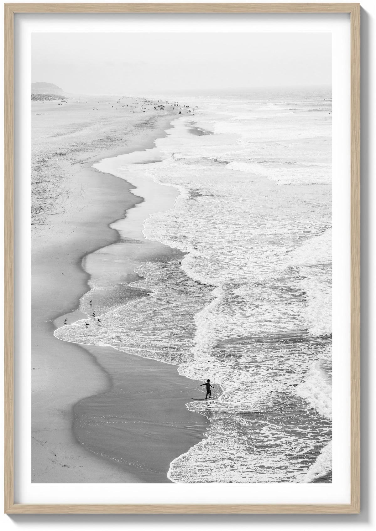 Ocean Beach Exploration