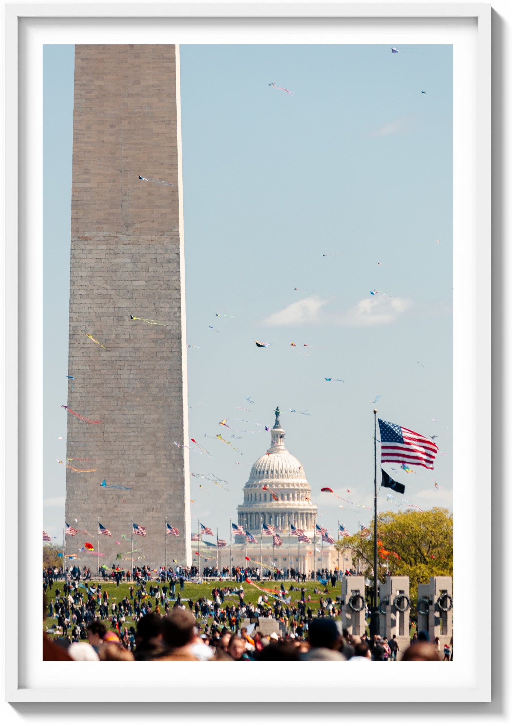 Kites and Capitol Skies