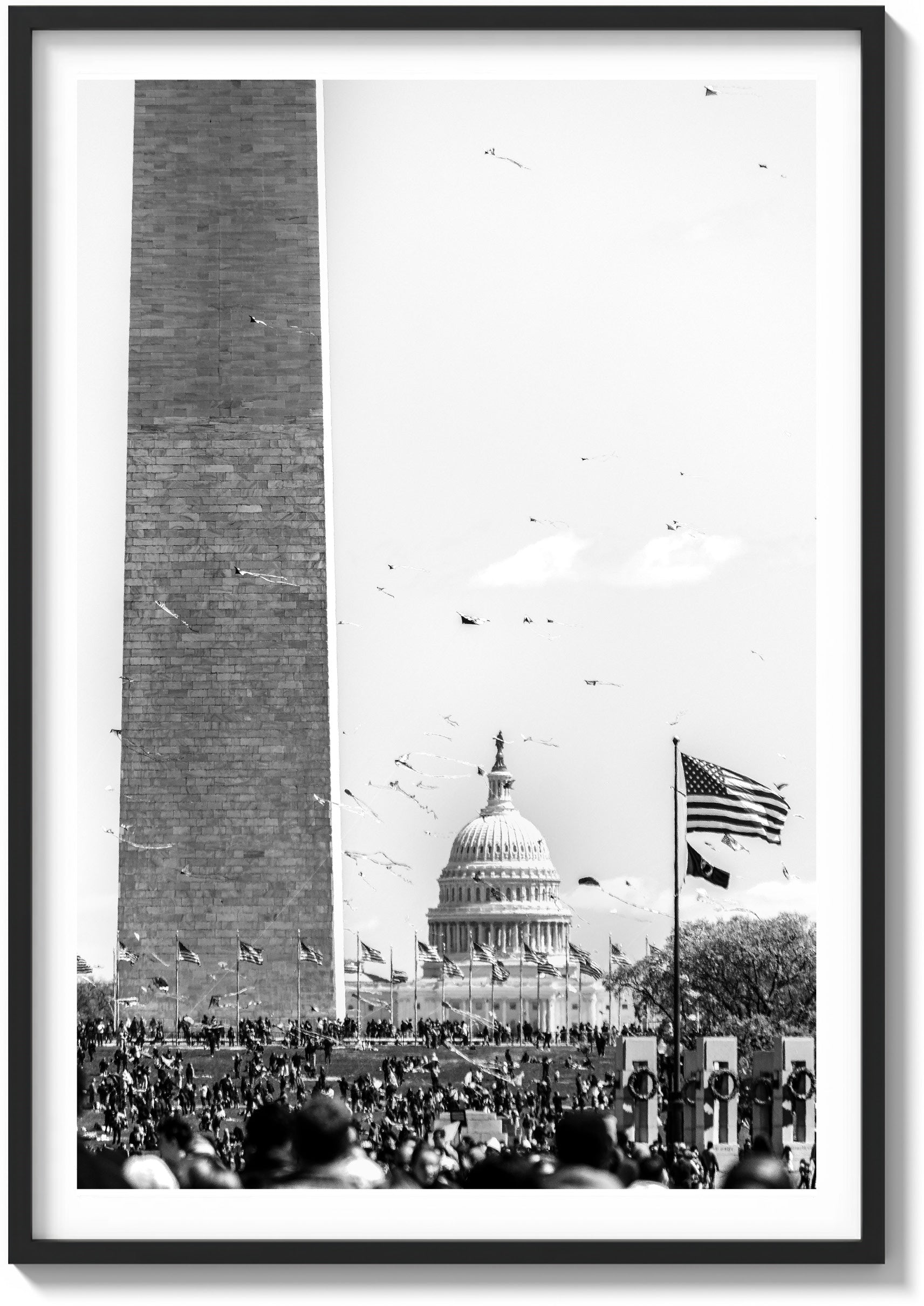 Kites and Capitol Skies
