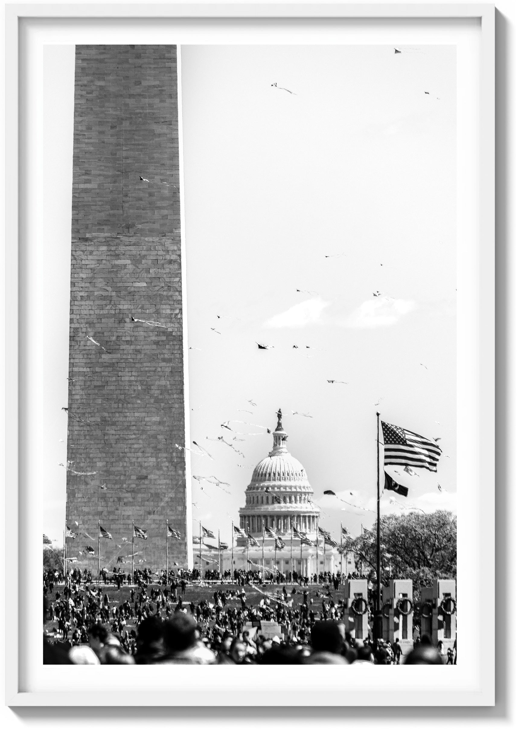 Kites and Capitol Skies