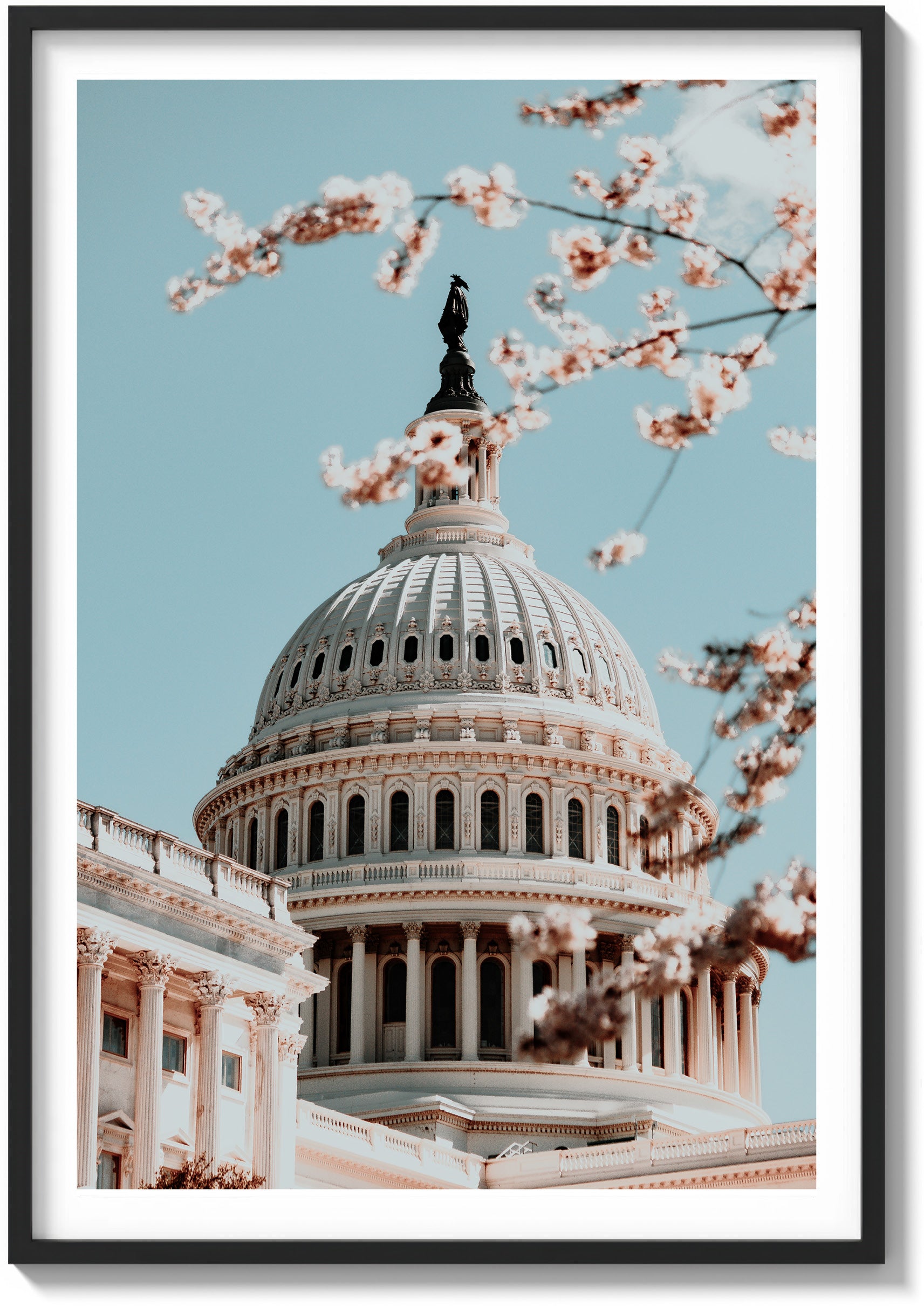 Springtime at the Capitol