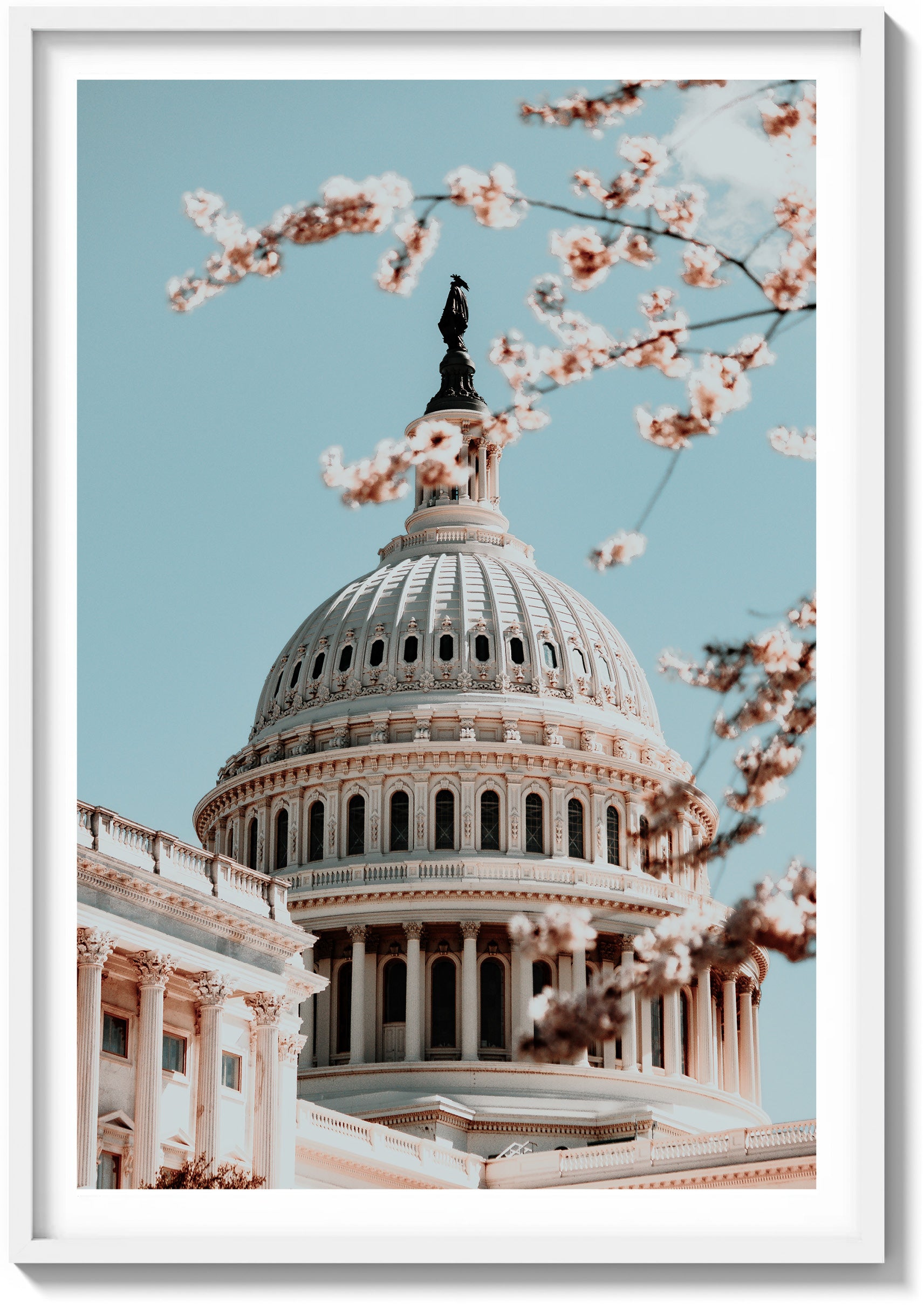 Springtime at the Capitol