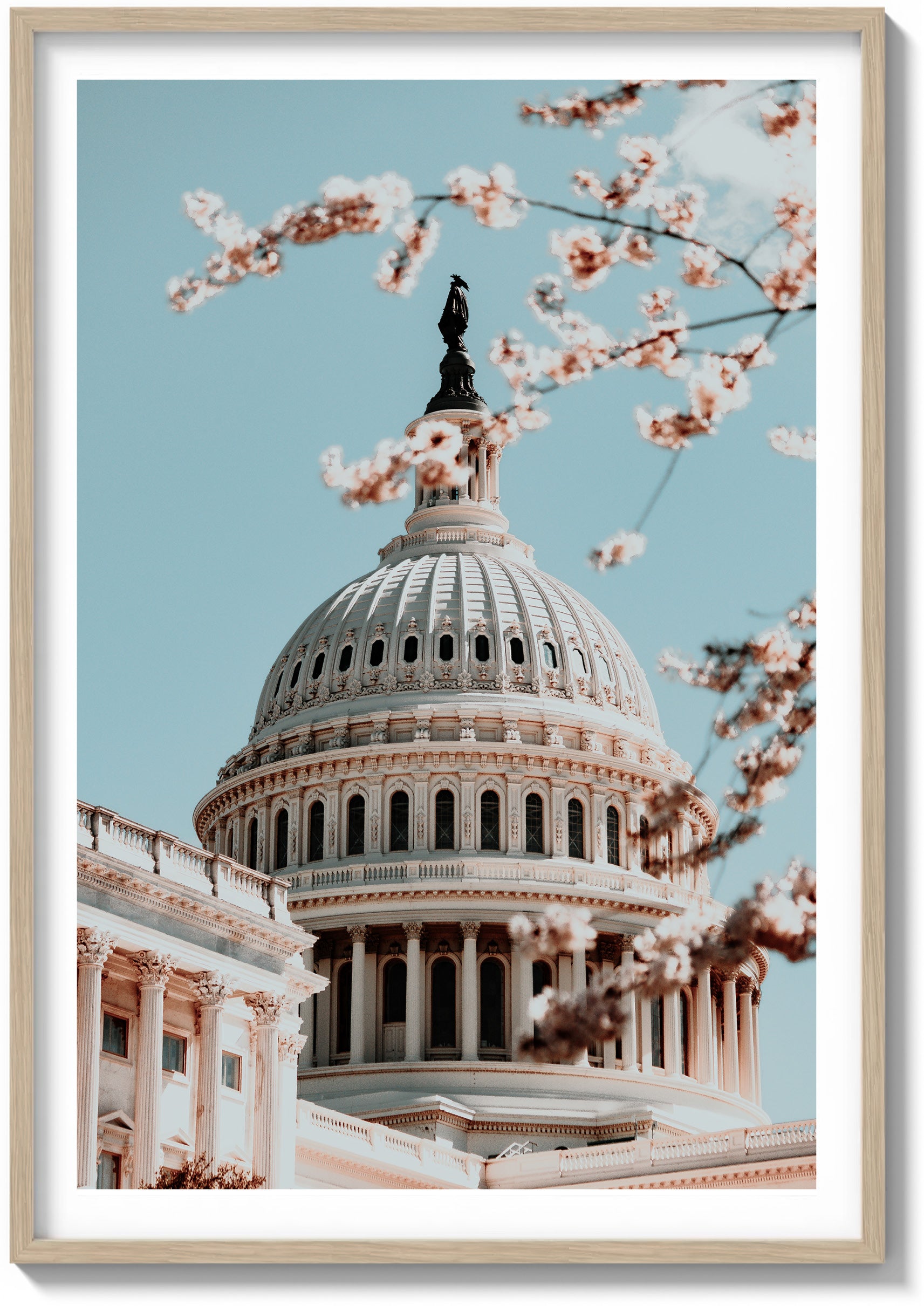 Springtime at the Capitol