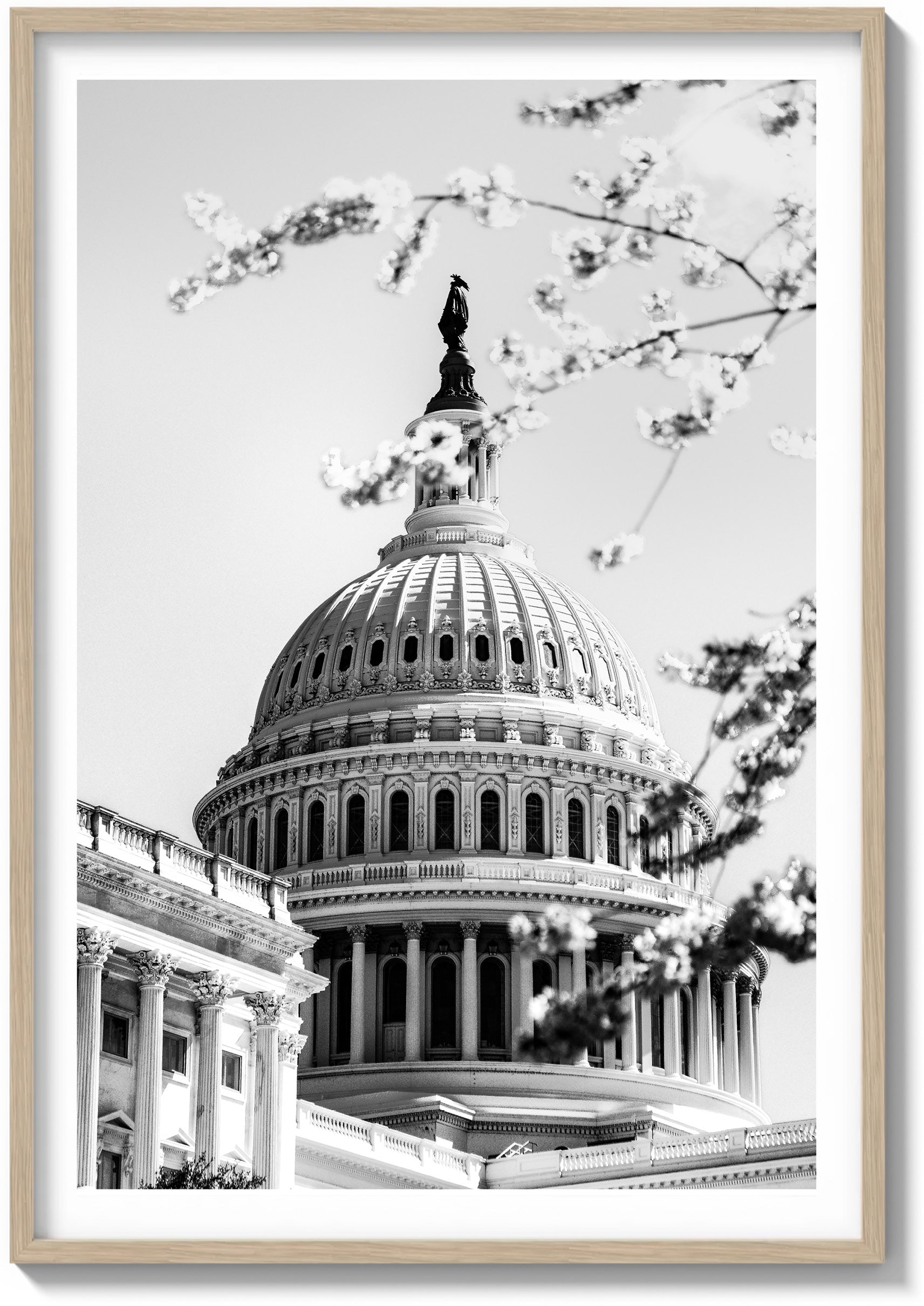 Springtime at the Capitol