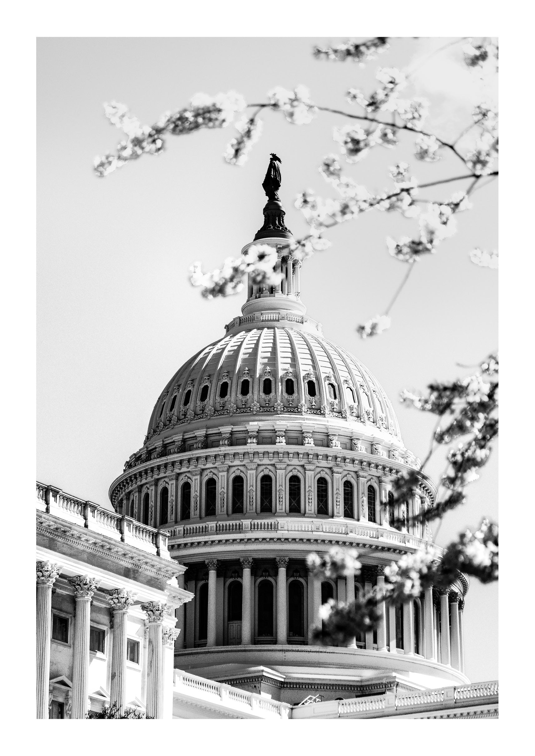 Springtime at the Capitol