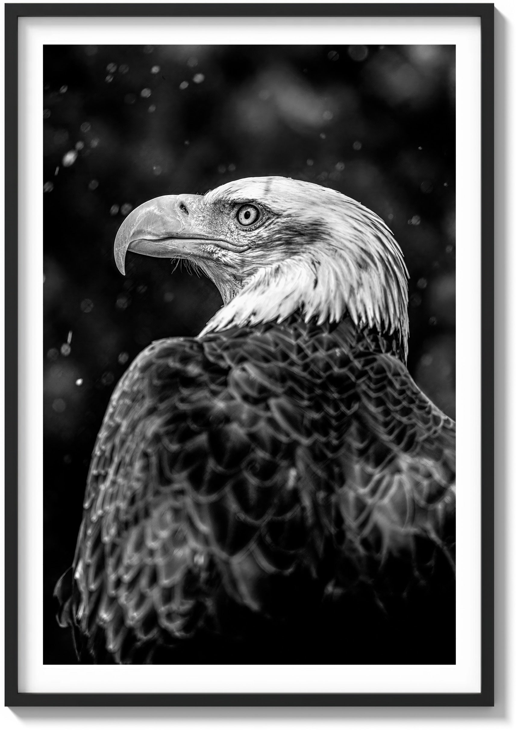 Symbol of America