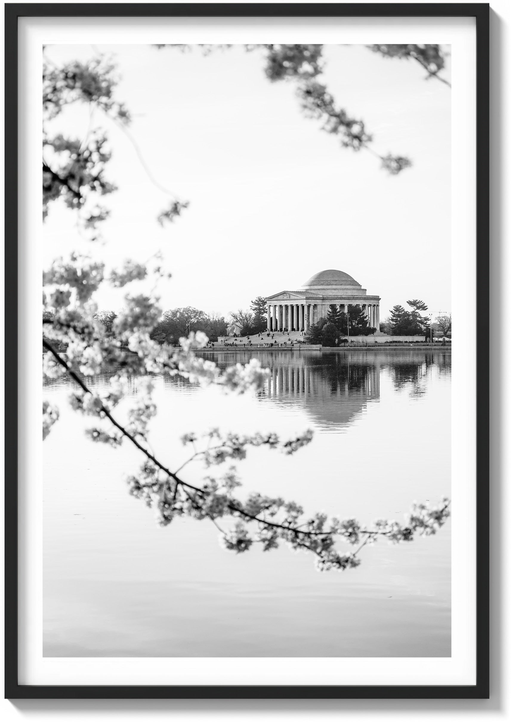 DC Bloom