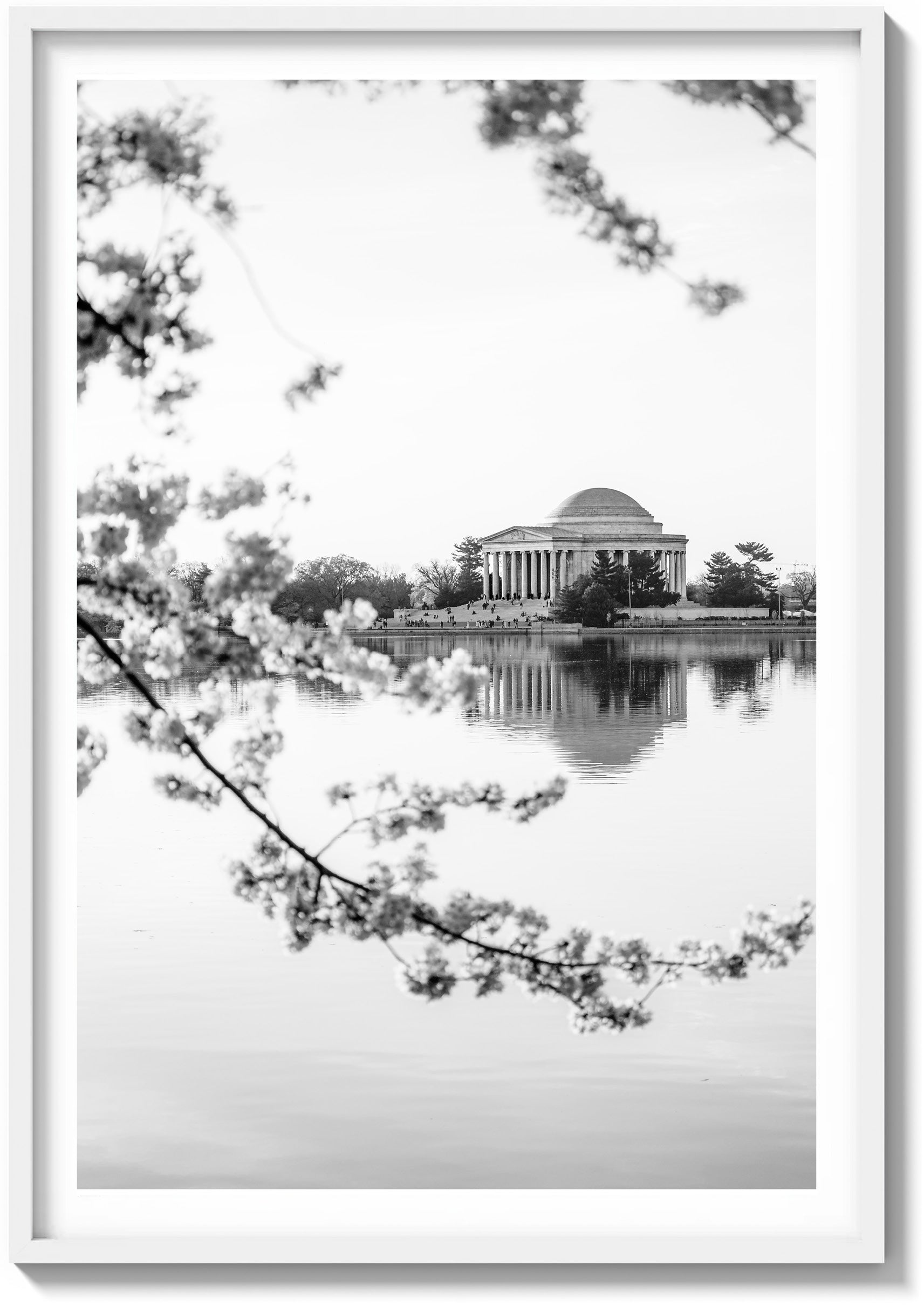 DC Bloom