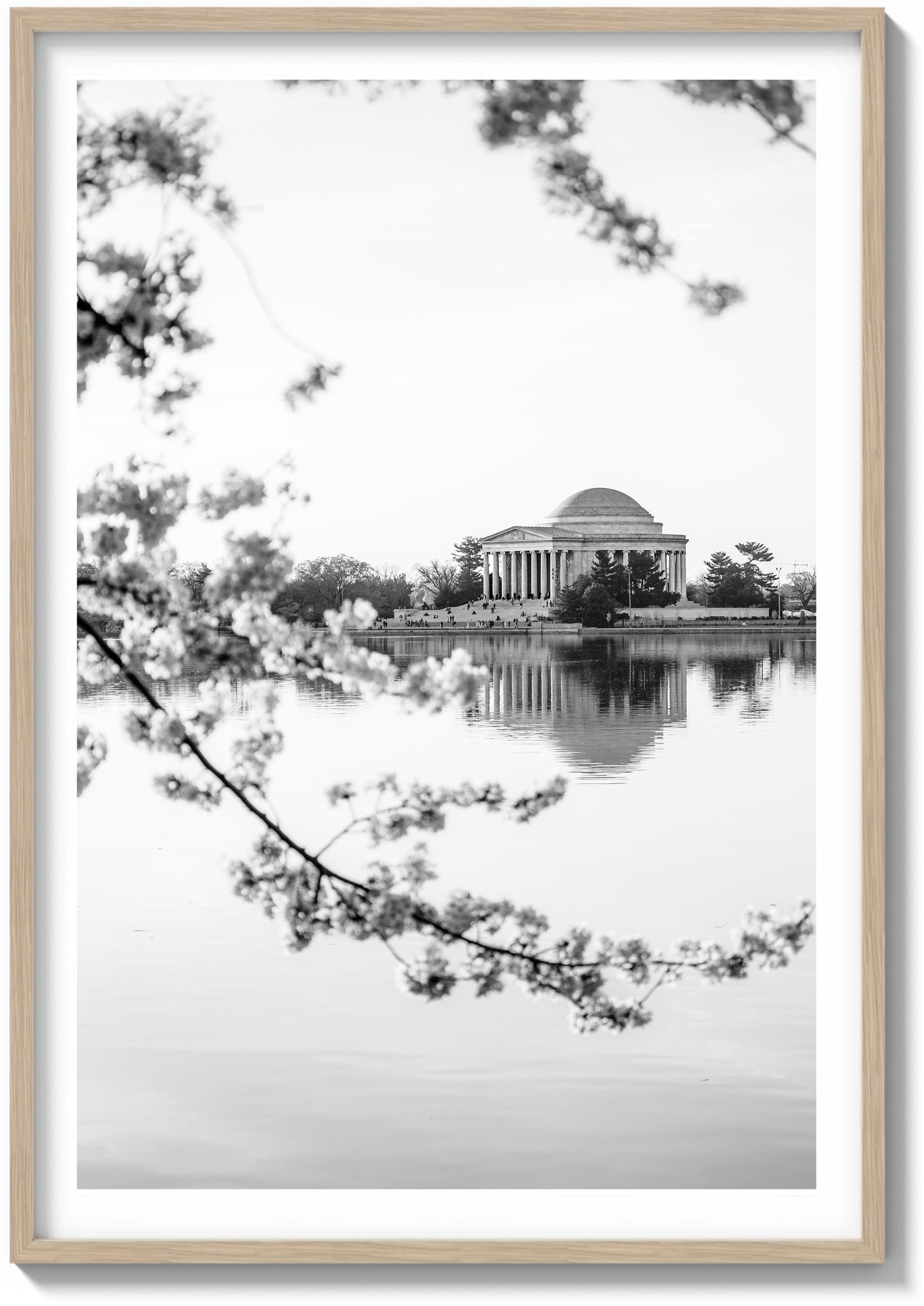 DC Bloom