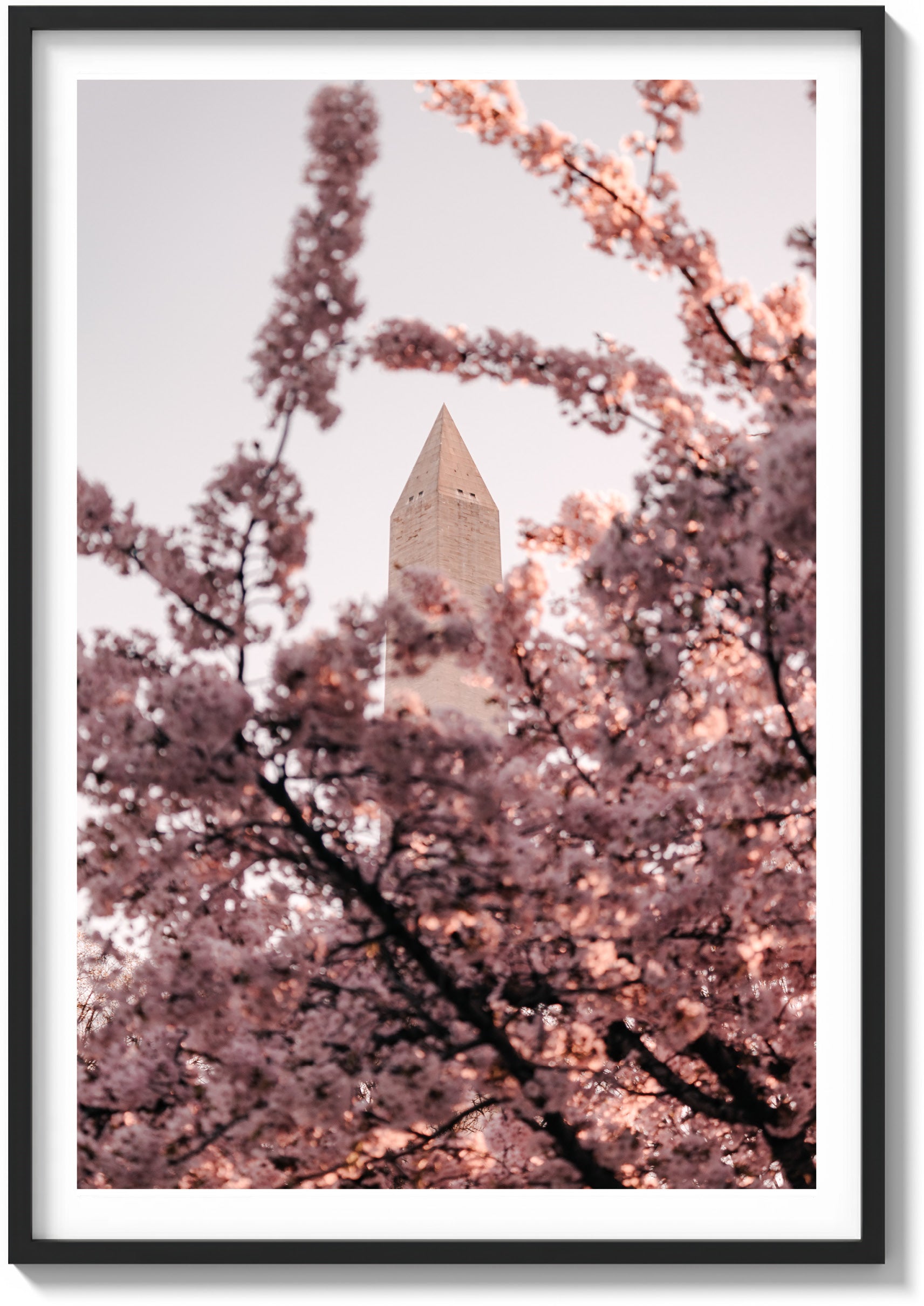 Jefferson Memorial