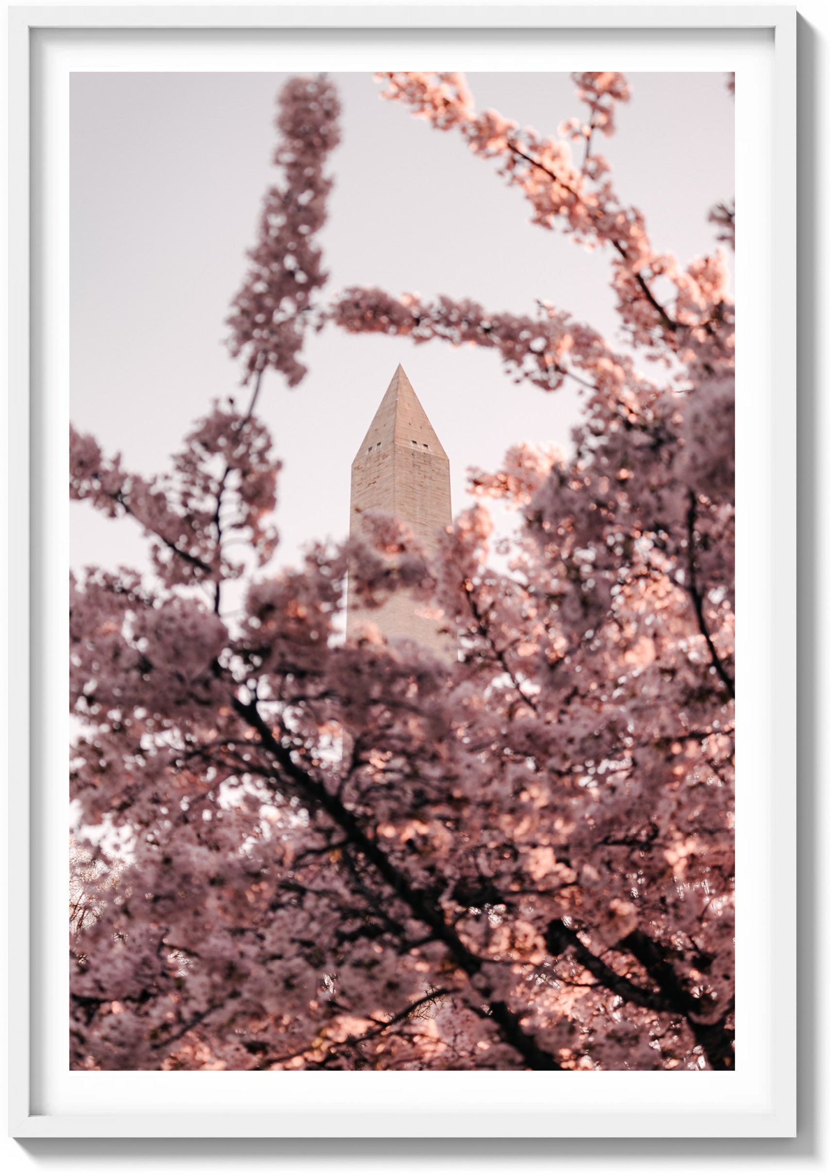 Jefferson Memorial
