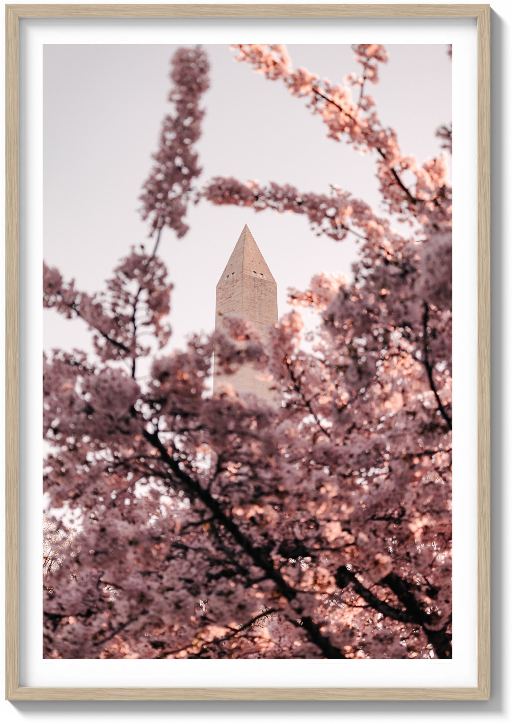 Jefferson Memorial