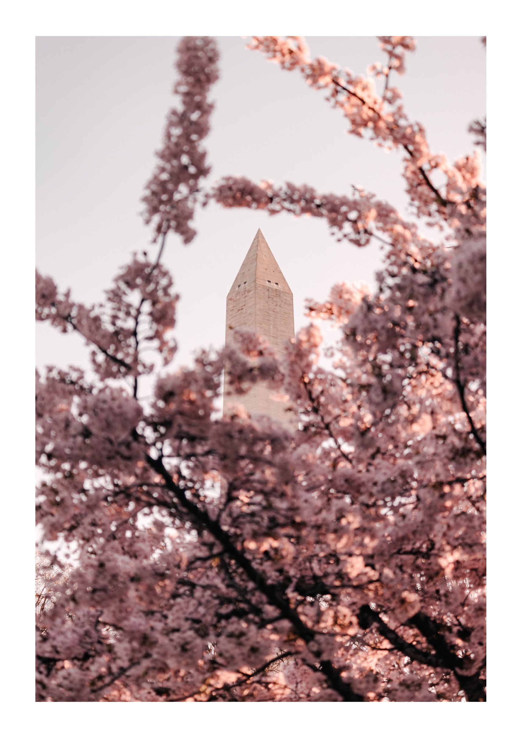 Jefferson Memorial