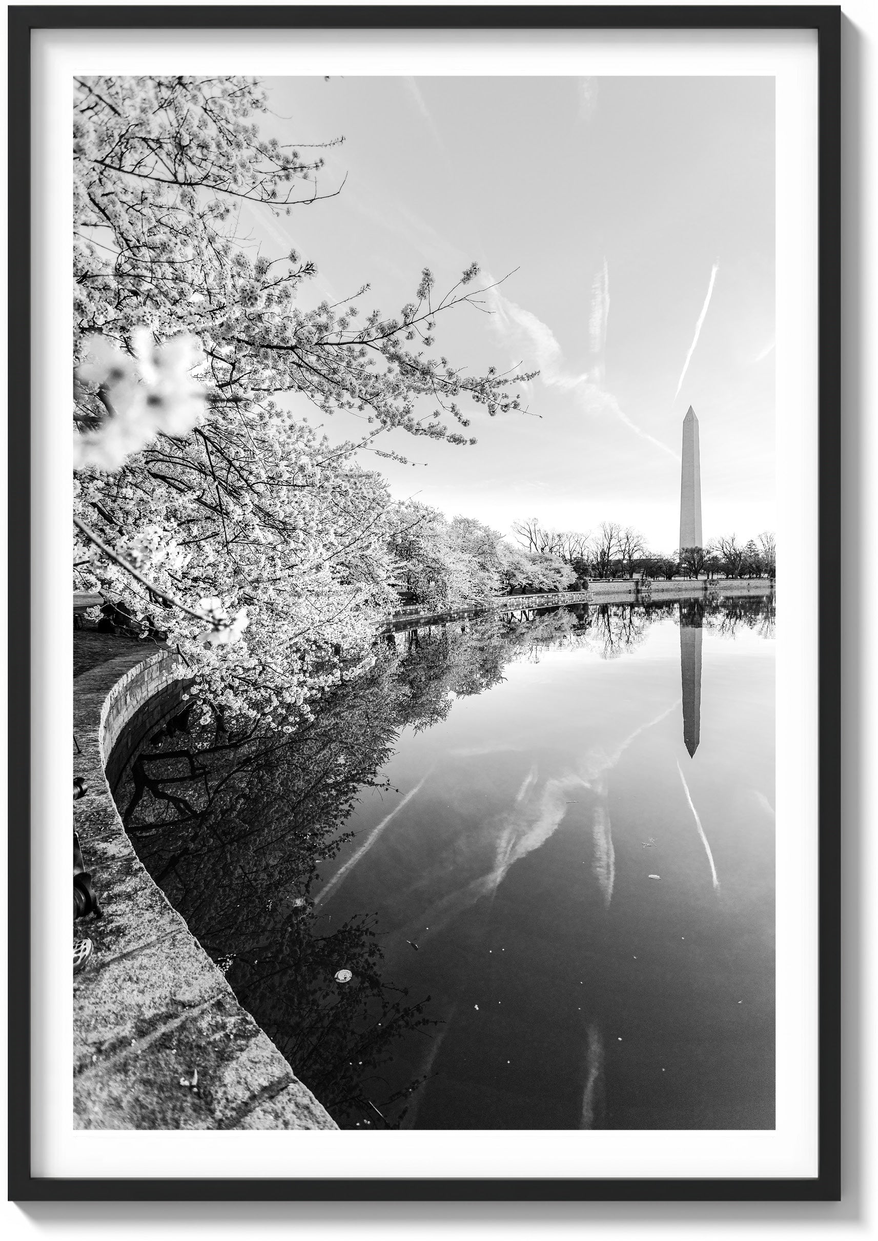 Springtime Foliage