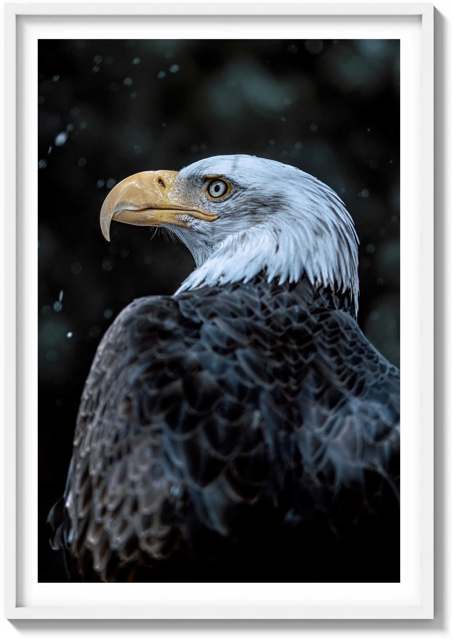 Symbol of America