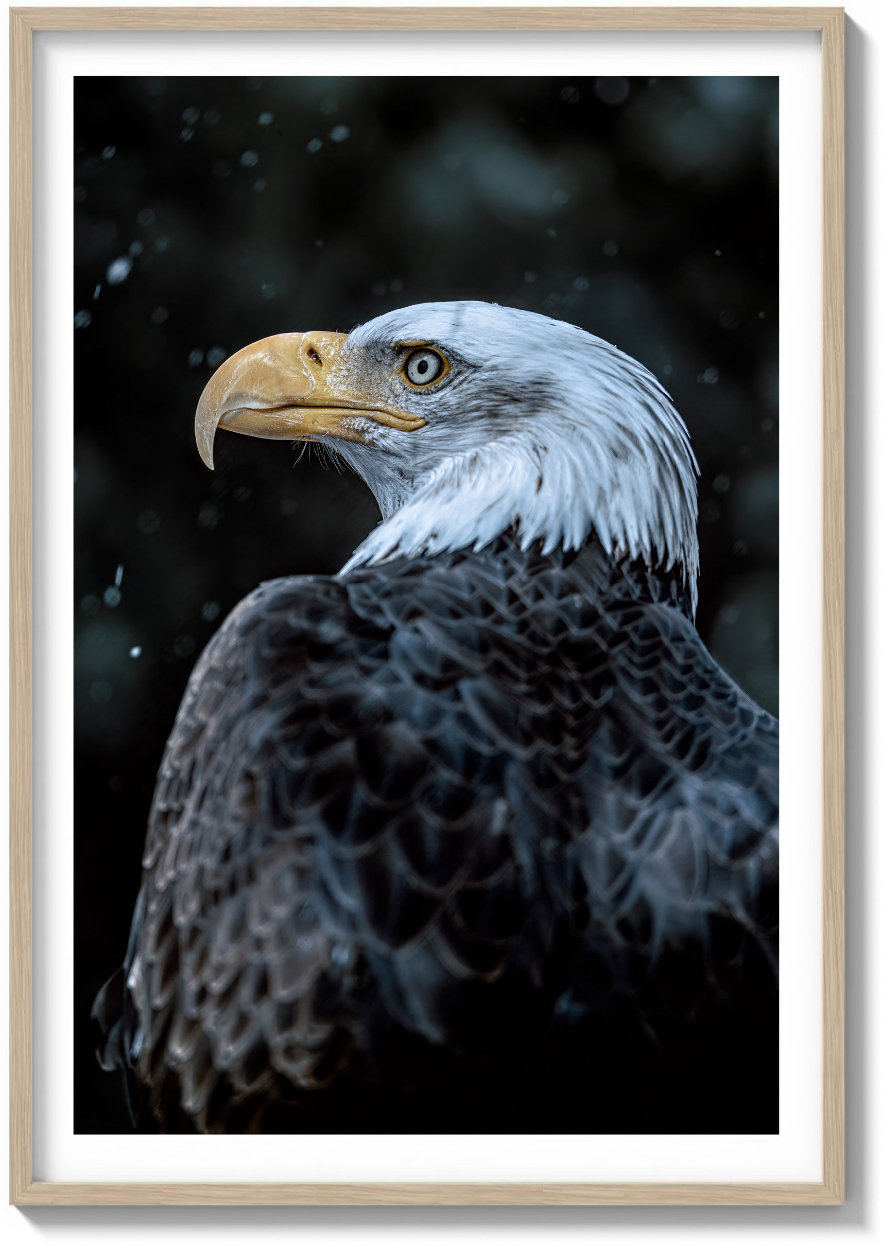Symbol of America
