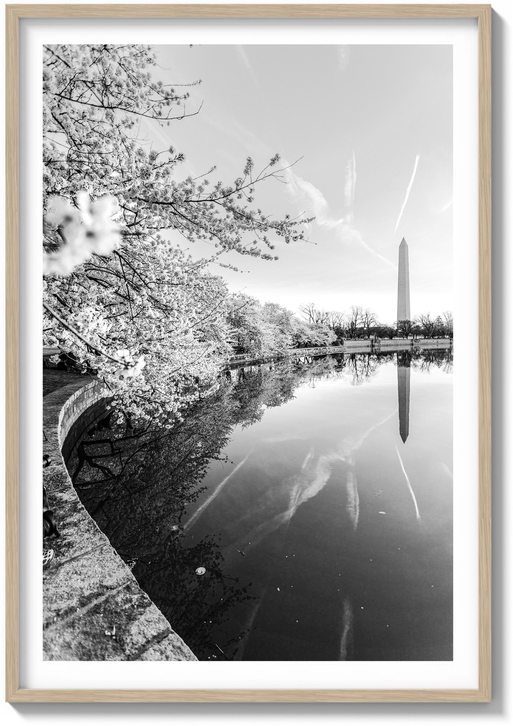 Springtime Foliage