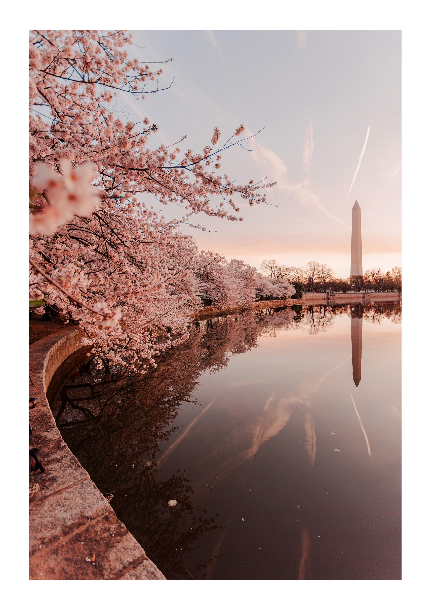 Springtime Foliage